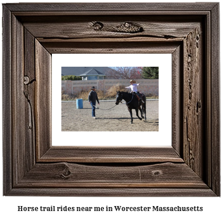 horse trail rides near me in Worcester, Massachusetts